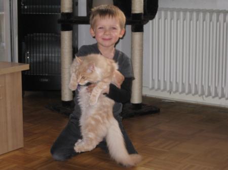 Bild zu