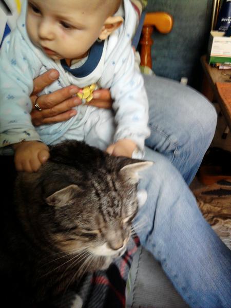 Bild zu