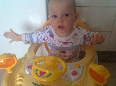 Bild zu