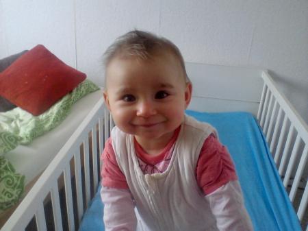Bild zu
