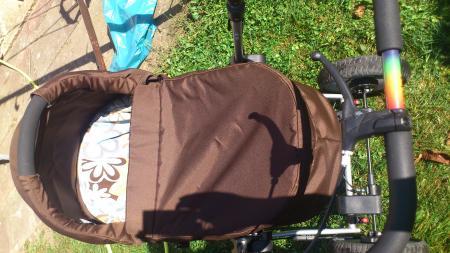 Bild zu 