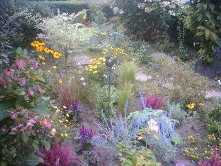 Bild zu Unser Vorgarten im Frühsommer - Garten Forum
