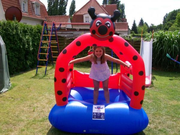 Bild zu