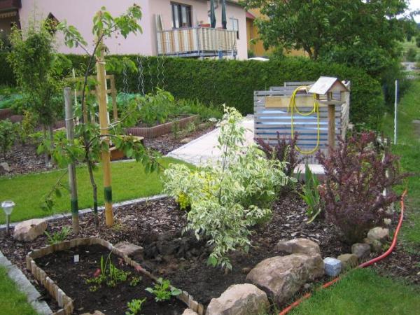 Bild zu gartenbilder vom noch jungen Garten ;-)) - Garten Forum