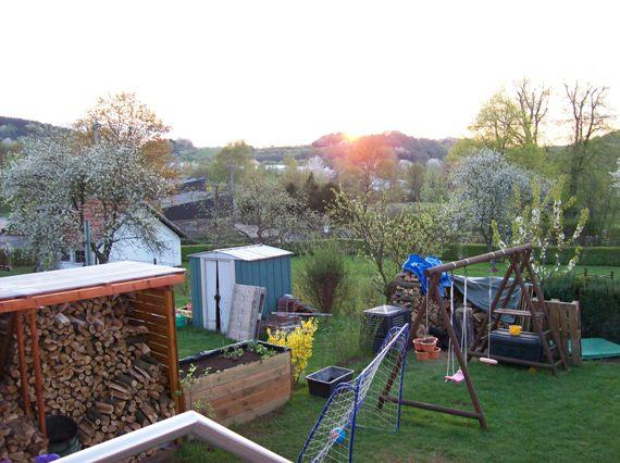 Bild zu Bin neu hier - Garten Forum