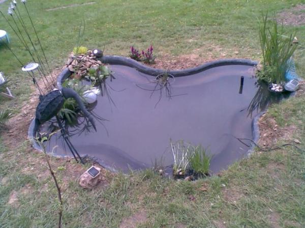 Bild zu ....Menschen mit Teich.... - Garten Forum