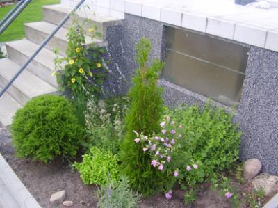 Bild zu Tauscht wer Kräuter mit mir? - Garten Forum