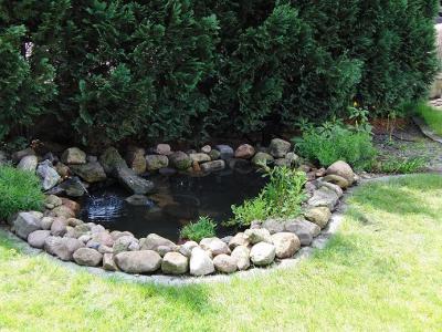 Bild zu so unser Rankgitter wurde bepflanzt.( Bild) - Garten Forum