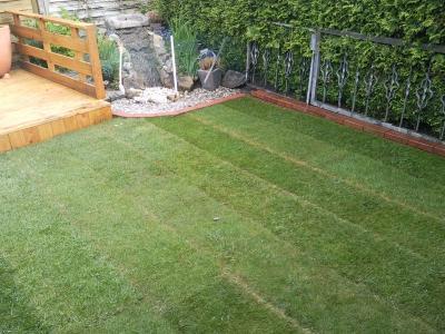 Bild zu Wer kennt sich mit Rollrasen bzw. Schattenrasen aus? - Garten Forum