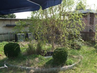 Bild zu Mini-Teich ohne Pumpe - wachsen da Wasserpflanzen? - Garten Forum