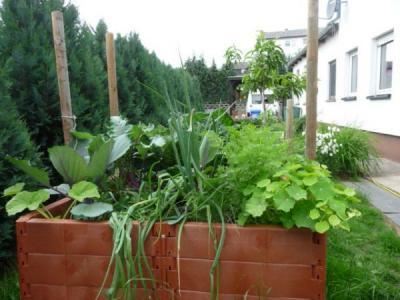 Bild zu