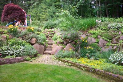 Bild zu Gartenbilder - Garten Forum