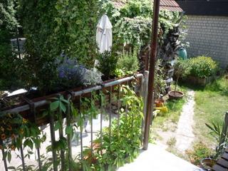 Bild zu Gartenimpressionen ;-)) - Garten Forum