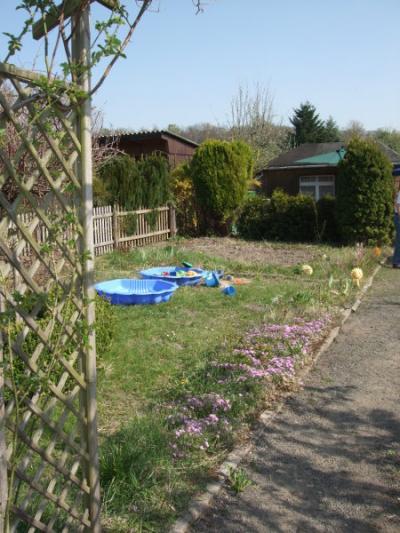 Bild zu Habt ihr einen ultimativen Tip gegen Unkraut? - Garten Forum