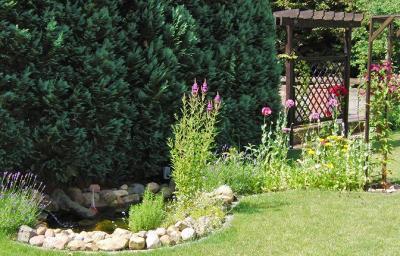 Bild zu am teich blüh alles... - Garten Forum