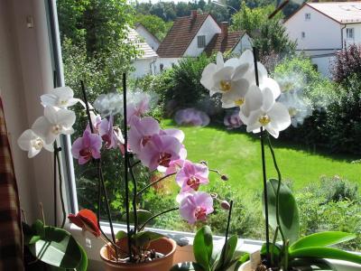 Bild zu 