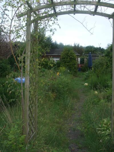 Bild zu Bei uns im Garten waren die Heinzelmännchen da - Vorher-Nachher-Fotos :) - Garten Forum