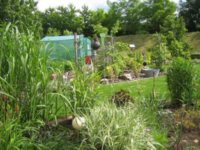 Bild zu das hier hält mich durch den winter;-) - Garten Forum