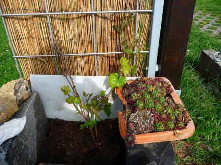 Bild zu 