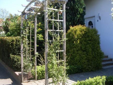 Bild zu 