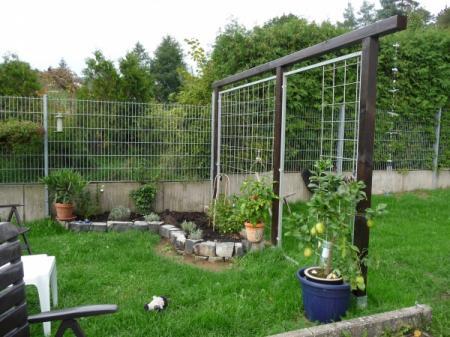 Bild zu 