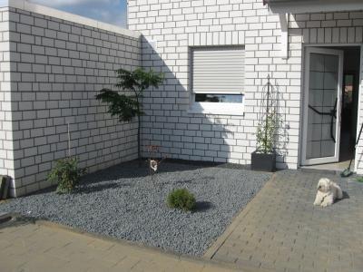 Bild zu Was statt Essigbaum (mit Bild) - Garten Forum