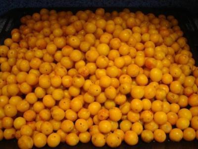 Bild zu Welche Frucht ist das???? Hilfe! - Garten Forum