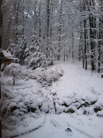 Bild zu Wintergarten - Garten Forum
