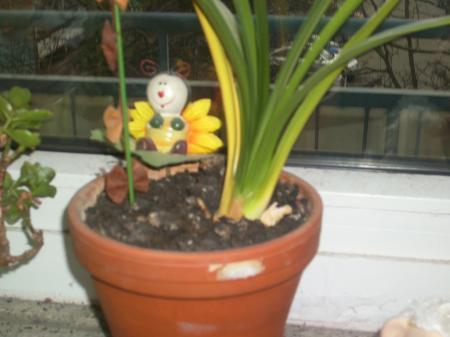 Bild zu 