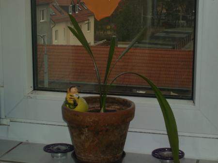 Bild zu 