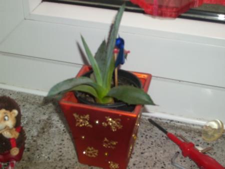 Bild zu 