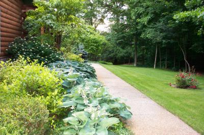 Bild zu Welche Buesche? Helft mal bitte. - Garten Forum