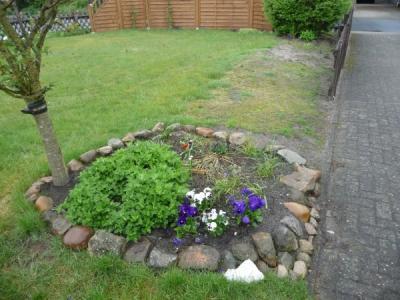 Bild zu Unser Garten soll schöner werden :) _kleines Rundbeet_ - Garten Forum