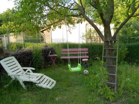 Bild zu 