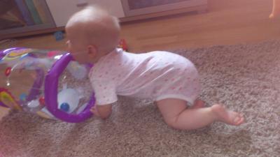 Bild zu Kein S/B!!! Mein baby kann krabbeln!!!!!!! - Garten Forum