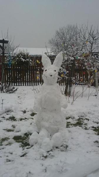Bild zu 