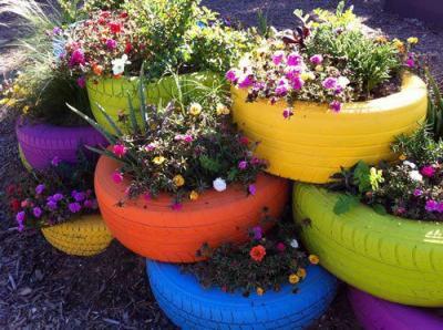 Bild zu juhu morgen hol ich meine reifen am recyclinghof - Garten Forum