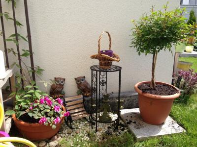 Bild zu Ich hätte nichts gegen einen großen Garten;-)))) - Garten Forum