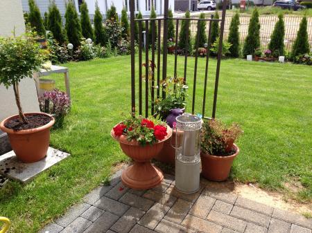 Bild zu