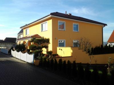 Bild zu Kann man eine Kiefer von ca.2,80m umsetzen? - Garten Forum