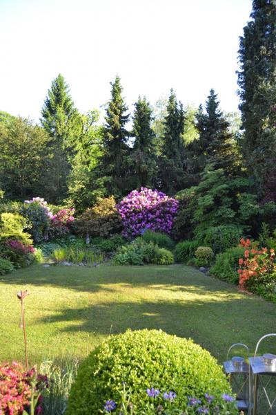 Bild zu Einblick oder Ein Blick in den Garten :-) - Garten Forum
