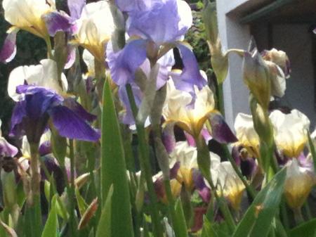 Bild zu