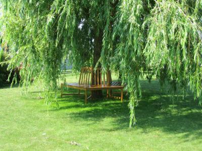 Bild zu Mein neuer Lieblingsplatz im Garten - Garten Forum