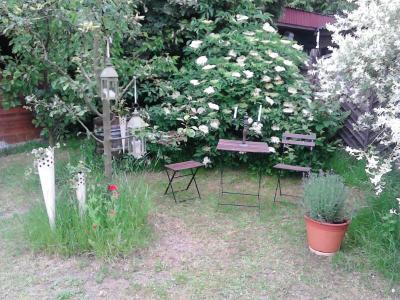 Bild zu Lieblingsplätze im Garten,Blumen und neu hier :-) - Garten Forum