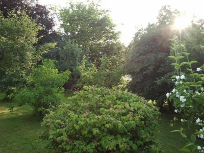 Bild zu Fotos - Garten Forum