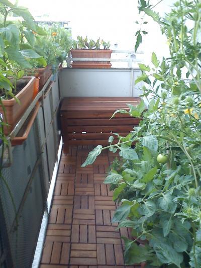 Bild zu Mein Lieblingsplatz - Balkon - Garten Forum