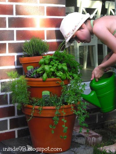 Bild zu Unser neuer "Kräutergarten" ;) - Garten Forum
