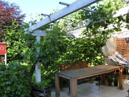 Bild zu