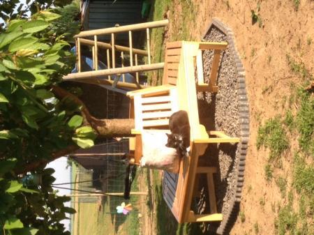 Bild zu
