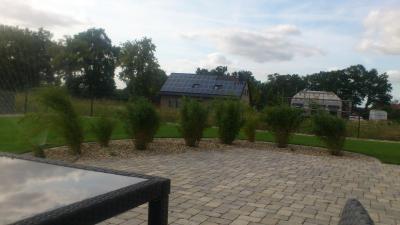 Bild zu Hilfe Maulwürfe..... - Garten Forum